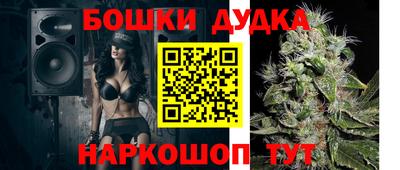 трава Кингисепп