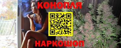 стаф Кинель