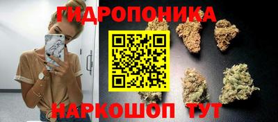 трава Кингисепп