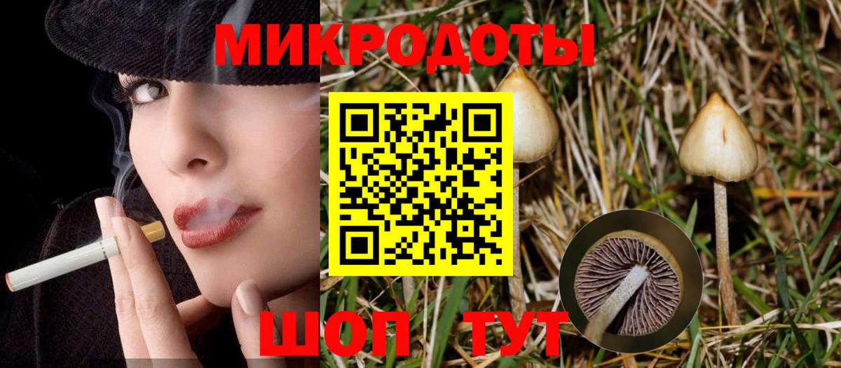 Галлюциногенные грибы Cubensis Красногорск